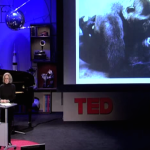 Addicted to Love: A Chemical Explanation [TED Talk]